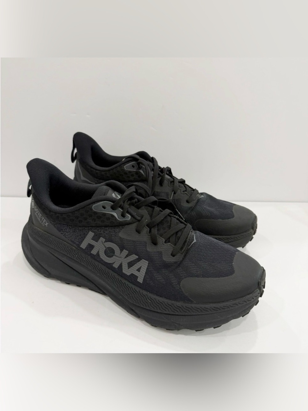 Hoka One One Challenger 7 GTX Trail Men’s shoes